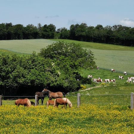 Gite Du Colombier Le Fied エクステリア 写真